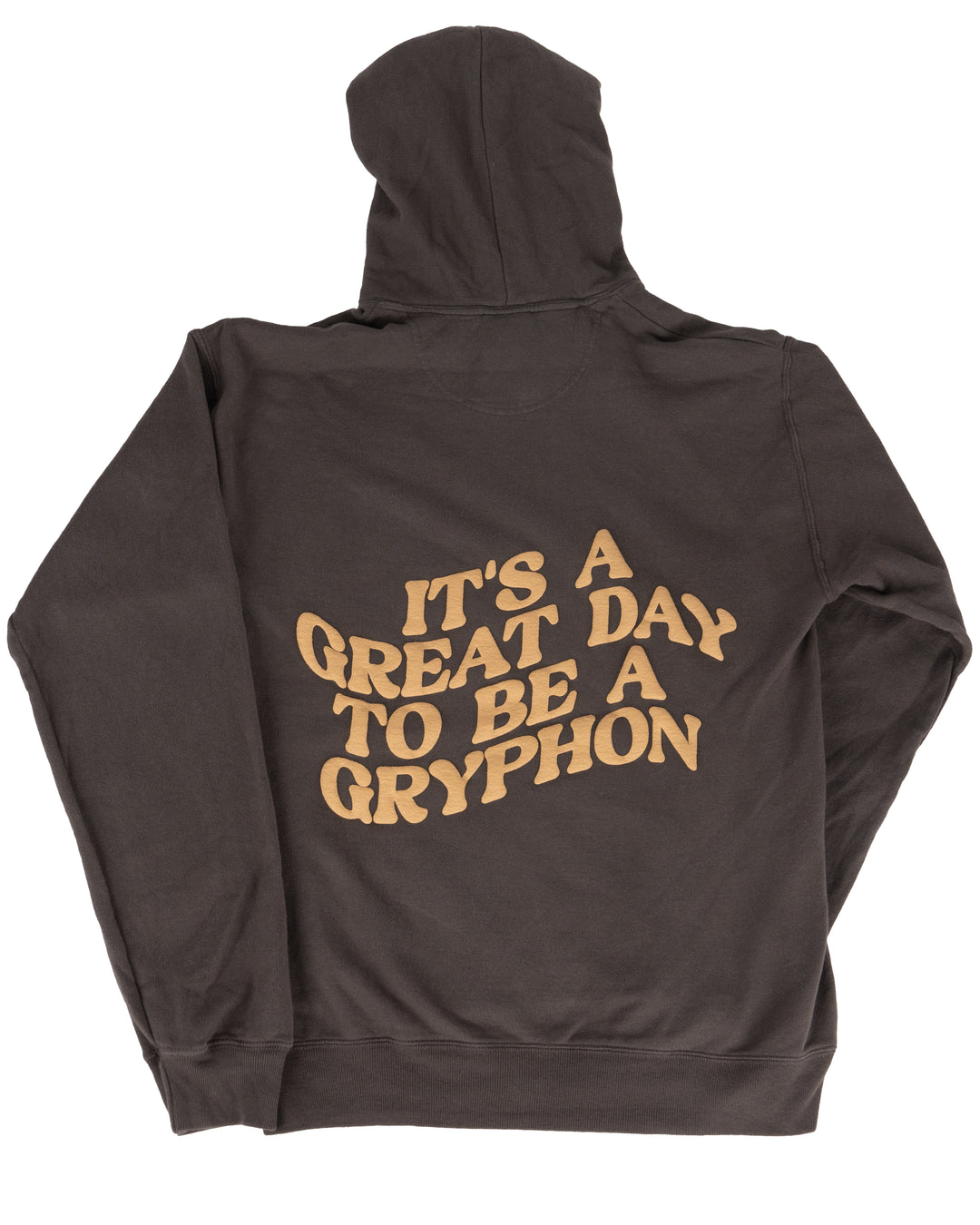 Great Day Hoodie