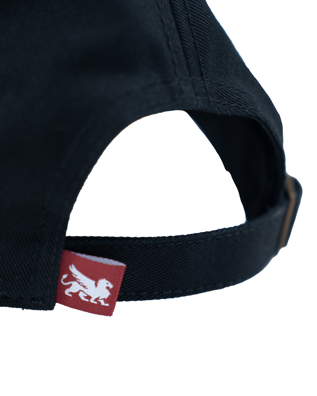 SG Felt Dad Hat